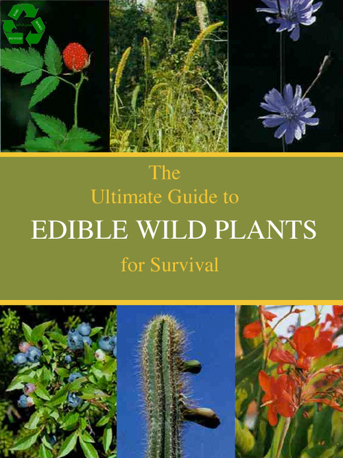 Product picture The Ultimate Guide To Edible Wild Plants For Survival