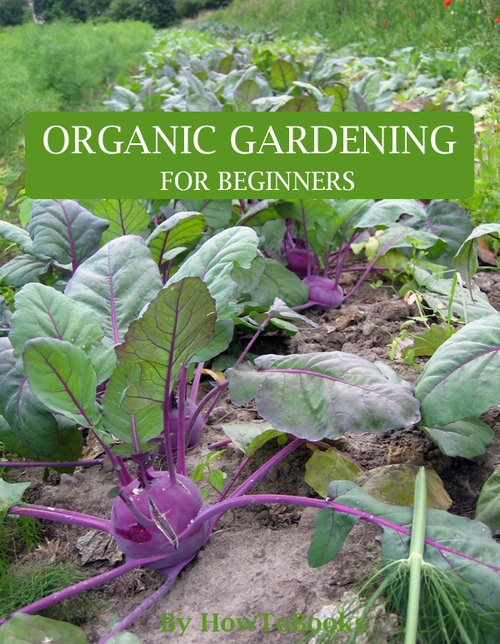 Product picture ORGANIC GARDENING for BEGINNERS